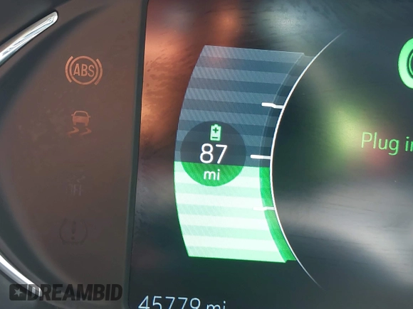 2019 Chevrolet Bolt EV Premier with VIN 1G1FZ6S09K4137605, listed as a IAAI auction lot 42258493 with 45,779 mi miles and . Bid and sale history available at DreamBid. Image 17.