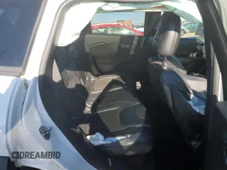 2017 Jeep Cherokee Trailhawk L Plus with VIN 1C4PJMBB3HW506965, listed as a Copart auction lot 82257594 with 106,571 mi miles and Salvage title. Bid and sale history available at DreamBid. Image 10.