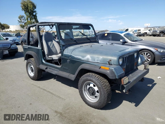 1994 Jeep Wrangler with VIN 1J4FY29S0RP422853, listed as a Copart auction lot 74611684 with 172,177 mi miles and Salvage Title. Bid and sale history available at carsss.com. Image 4.