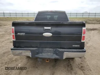 2011 Ford F-150 XL with VIN 1FTFX1EF5BFA97625, listed as a Copart auction lot 50976075 with 180,115 mi miles and Clean Title. Bid and sale history available at carsss.com. Image 6.