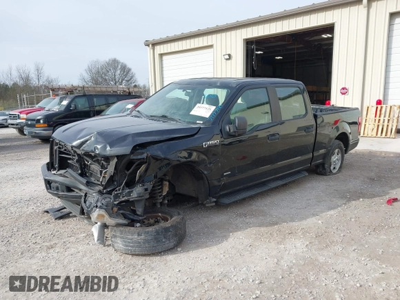 2016 Ford F-150 XL with VIN 1FTEW1CP9GFC61430, listed as a IAAI auction lot 41773013 with 108,286 mi miles and . Bid and sale history available at DreamBid. Image 6.