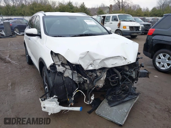 2017 Kia Sorento EX V6 with VIN 5XYPH4A57HG203255, listed as a IAAI auction lot 41178904 with 122,091 mi miles. Bid and sale history available at carsss.com. Image 6.