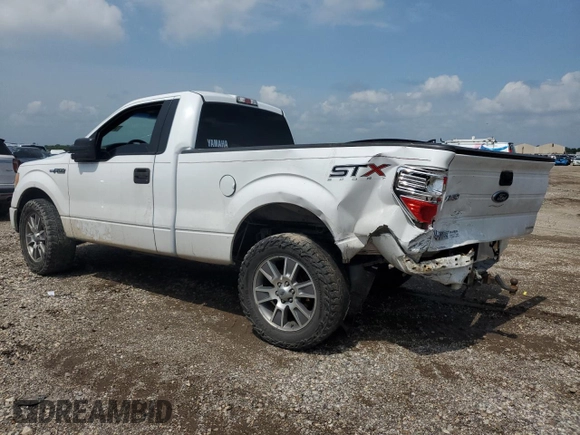 2014 Ford F-150 XL with VIN 1FTMF1CM5EKF53369, listed as a Copart auction lot 54539695 with 199,166 mi miles and Salvage title. Bid and sale history available at DreamBid. Image 2.
