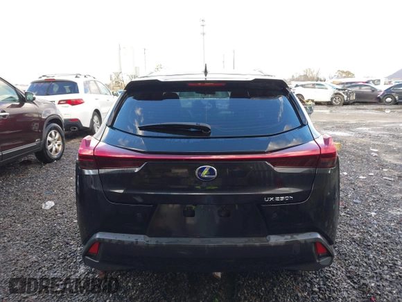 2021 Lexus UX 250h with VIN JTHX9JBHXM2042844, listed as a IAAI auction lot 41213573 with 31,650 mi miles and . Bid and sale history available at DreamBid. Image 16.