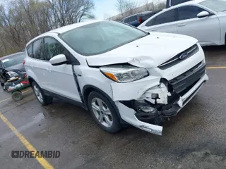 2014 Ford Escape SE с VIN 1FMCU0GX0EUA49408, выставлен на аукционе IAAI как лот 41864366 с пробегом 53 240 миль миль и . История ставок и продаж доступна на DreamBid. Изображение 1.