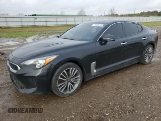 2019 Kia Stinger with VIN KNAE15LAXK6046890, listed as a Copart auction lot 45068445 with 109,013 mi miles and Salvage Title. Bid and sale history available at carsss.com. Image 1.