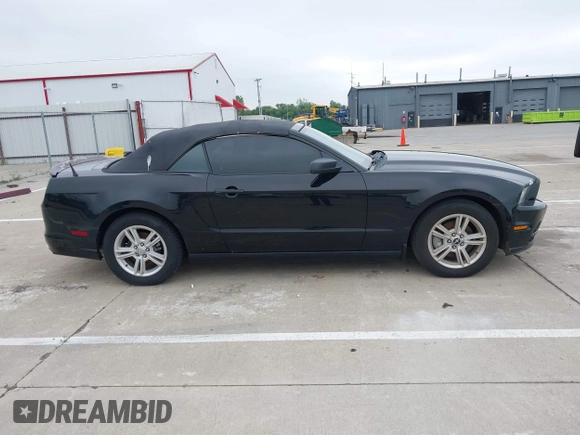2013 Ford Mustang V6 with VIN 1ZVBP8EM9D5239373, listed as a IAAI auction lot 42373631 with 110,821 mi miles and . Bid and sale history available at DreamBid. Image 13.
