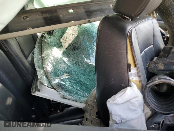 2007 Ford Expedition Limited with VIN 1FMFU19577LA46206, listed as a Copart auction lot 48800465 with Not provided miles and Salvage title. Bid and sale history available at DreamBid. Image 10.