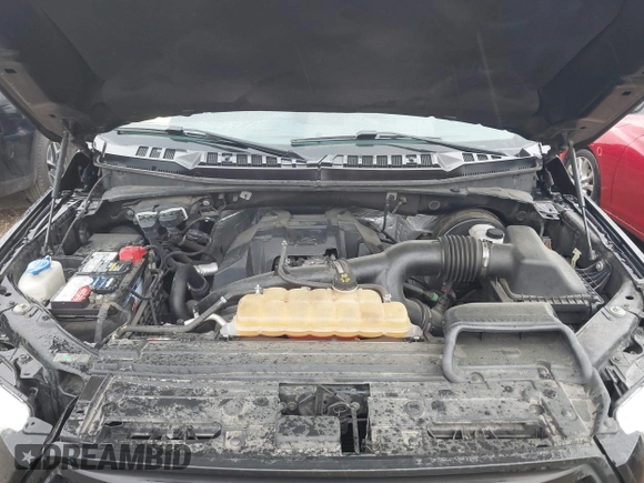 2016 Ford F-150 XL with VIN 1FTEX1CP3GKE11939, listed as a IAAI auction lot 41900096 with 165,947 mi miles and . Bid and sale history available at carsss.com. Image 10.