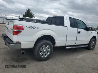 2013 Ford F-150 XL with VIN 1FTFX1ET4DFD31973, listed as a Copart auction lot 53285255 with 201,594 mi miles and Clean title. Bid and sale history available at DreamBid. Image 3.