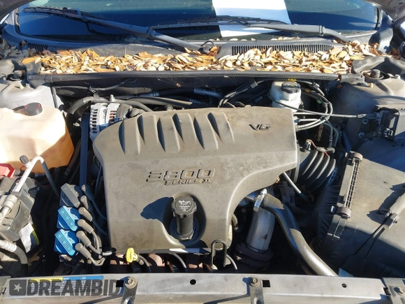 2004 Buick LeSabre Custom with VIN 1G4HP52K14U262839, listed as a IAAI auction lot 41788616 with 141,929 mi miles and . Bid and sale history available at DreamBid. Image 10.