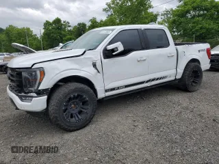2023 Ford F-150 XL with VIN 1FTFW1E54PFA30550, listed as a Copart auction lot 61412845 with Not provided miles and Salvage title. Bid and sale history available at DreamBid. Image 1.