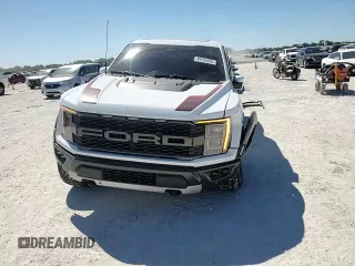 2023 Ford F-150 Raptor with VIN 1FTFW1RG1PFB24123, listed as a Copart auction lot 49594495 with 24,175 mi miles and Salvage Title. Bid and sale history available at DreamBid. Image 11.