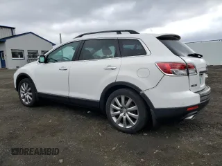 2009 Mazda CX-9 Touring with VIN JM3TB38V190176519, listed as a Copart auction lot 51087505 with 123,771 mi miles and Salvage Title. Bid and sale history available at carsss.com. Image 2.