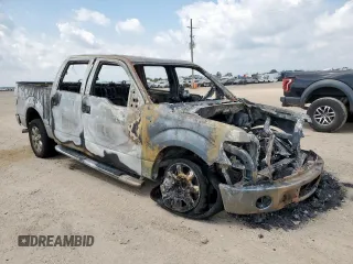 2014 Ford F-150 XL with VIN 1FTFW1CTXEKF45574, listed as a Copart auction lot 58252965 with Not provided miles and Non repairable. Bid and sale history available at DreamBid. Image 4.
