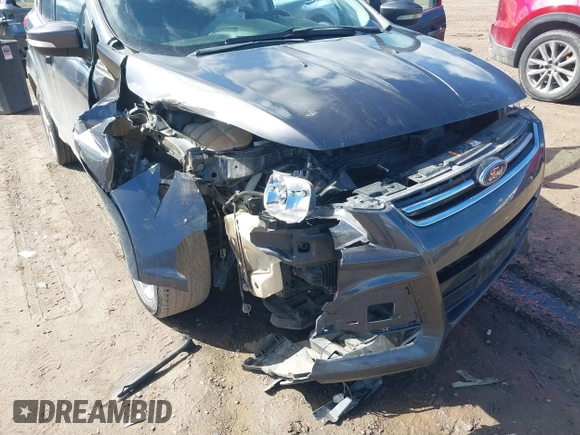 2016 Ford Escape Titanium with VIN 1FMCU9J96GUB96009, listed as a IAAI auction lot 41866127 with 132,990 mi miles and . Bid and sale history available at DreamBid. Image 6.