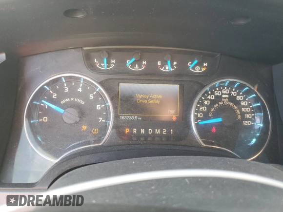 2013 Ford F-150 XL with VIN 1FTFX1CTXDFC04695, listed as a Copart auction lot 44914465 with 163,233 mi miles and Salvage Title. Bid and sale history available at carsss.com. Image 9.