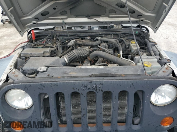2010 Jeep Wrangler Sport with VIN 1J4AA2D1XAL227397, listed as a Copart auction lot 54003555 with 158,026 mi miles and Clean Title. Bid and sale history available at carsss.com. Image 11.