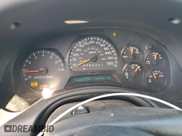 2008 Chevrolet TrailBlazer 1LT with VIN 1GNDT13S382256555, listed as a Copart auction lot 42164235 with 223,486 mi miles and Salvage Title. Bid and sale history available at DreamBid. Image 9.
