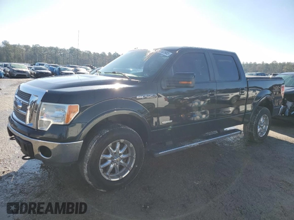 2012 Ford F-150 XL with VIN 1FTFW1ET4CFA81085, listed as a Copart auction lot 42703985 with 242,233 mi miles and Salvage Title. Bid and sale history available at carsss.com. Image 1.