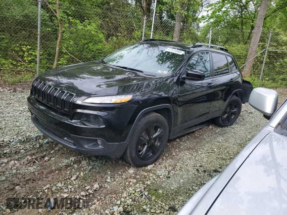 2017 Jeep Cherokee Limited with VIN 1C4PJMDS1HW625269, listed as a Copart auction lot 57131095 with 113,063 mi miles and Salvage title. Bid and sale history available at DreamBid. Image 1.