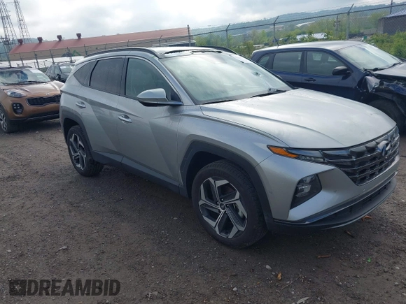 2024 Hyundai Tucson Limited with VIN 5NMJECDE1RH363885, listed as a IAAI auction lot 42204779 with 141,146 mi miles and . Bid and sale history available at DreamBid. Image 1.