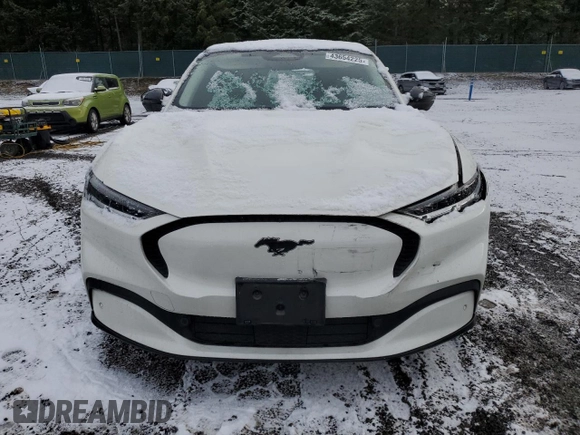 2021 Ford Mustang Mach-E California Route 1 with VIN 3FMTK2R71MMA36197, listed as a Copart auction lot 43654225 with 70,746 mi miles and Salvage Title. Bid and sale history available at DreamBid. Image 5.