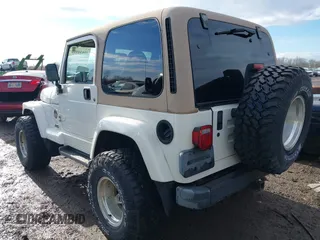 2002 Jeep Wrangler Sahara with VIN 1J4FA59S02P760345, listed as a IAAI auction lot 41634902 with 123,506 mi miles. Bid and sale history available at carsss.com. Image 3.