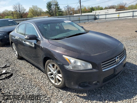 2011 Nissan Maxima SV with VIN 1N4AA5AP9BC804055, listed as a Copart auction lot 53444855 with 237,540 mi miles and Clean title. Bid and sale history available at DreamBid. Image 4.