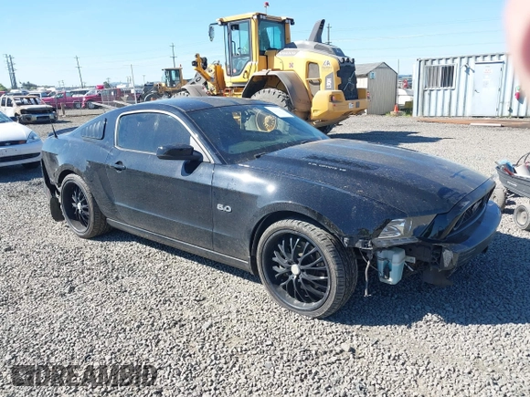 2014 Ford Mustang GT with VIN 1ZVBP8CF5E5201080, listed as a IAAI auction lot 42191392 with 42,701 mi miles and . Bid and sale history available at DreamBid. Image 1.