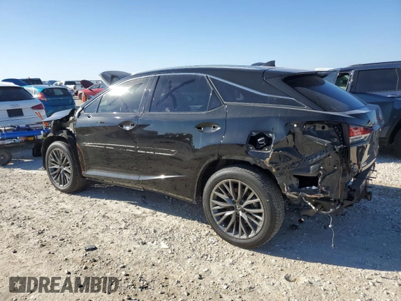 2020 Lexus RX with VIN 2T2YZMDA5LC244400, listed as a Copart auction lot 46684755 with 59,238 mi miles and Salvage Title. Bid and sale history available at carsss.com. Image 2.