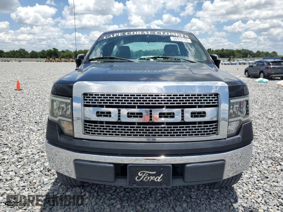 2010 Ford F-150 XL with VIN 1FTMF1CW2AKA59689, listed as a Copart auction lot 56910195 with 167,899 mi miles and Salvage title. Bid and sale history available at DreamBid. Image 5.