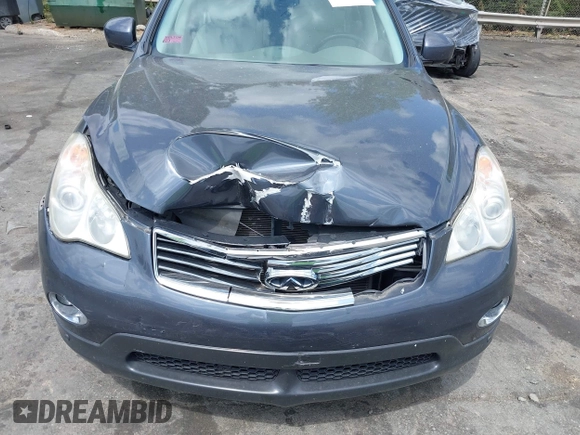 2010 Infiniti EX Journey with VIN JN1AJ0HR4AM753497, listed as a IAAI auction lot 42044229 with 202,070 mi miles and . Bid and sale history available at DreamBid. Image 6.