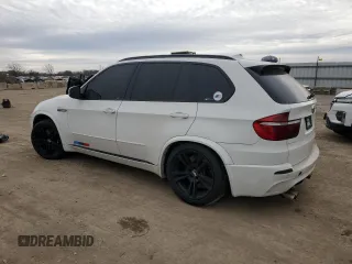 2010 BMW X5 M with VIN 5YMGY0C55ALK25665, listed as a Copart auction lot 82820384 with 118,956 mi miles and Salvage Title. Bid and sale history available at carsss.com. Image 2.