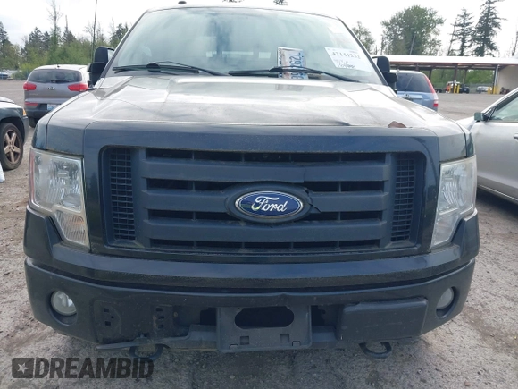 2010 Ford F-150 XL with VIN 1FTFX1EV3AFA32682, listed as a IAAI auction lot 42141232 with 184,448 mi miles. Bid and sale history available at carsss.com. Image 6.
