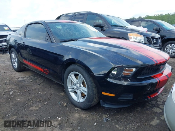 2011 Ford Mustang V6 with VIN 1ZVBP8AM5B5143338, listed as a IAAI auction lot 42161117 with 143,635 mi miles and . Bid and sale history available at DreamBid. Image 1.