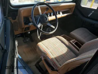 1995 Jeep Wrangler S z VIN 1J4FY19P8SP300768, wystawiony jako Copart lot #54414255 z przebiegiem 199 044 mil mil oraz Szkoda całkowita • Salvage title. Historia ofert i sprzedaży dostępna na DreamBid. Obrazek 8.