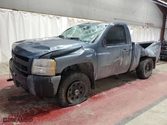 2011 Chevrolet Silverado 1500 Work Truck with VIN 1GCNKPEX2BZ418962, listed as a Copart auction lot 42313445 with 0 mi miles and Salvage Title. Bid and sale history available at carsss.com. Image 1.