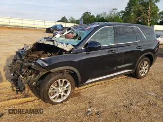 2020 Hyundai Palisade SE z VIN KM8R1DHE4LU052624, wystawiony jako Copart lot #55254005 z przebiegiem 119 424 mil mil oraz Szkoda całkowita • Salvage title. Historia ofert i sprzedaży dostępna na DreamBid. Obrazek 1.