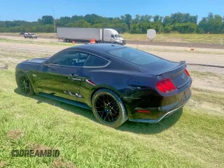 2015 Ford Mustang GT with VIN 1FA6P8CFXF5374945, listed as a Copart auction lot 67069735 with Not provided miles and Clean title. Bid and sale history available at DreamBid. Image 3.