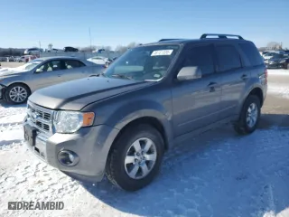 2009 Ford Escape Limited with VIN 1FMCU04769KB22223, listed as a Copart auction lot 46151335 with 191,329 mi miles and Salvage Title. Bid and sale history available at carsss.com. Image 1.