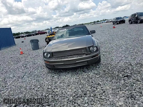2005 Ford Mustang Deluxe with VIN 1ZVFT84N555215001, listed as a Copart auction lot 61993435 with 85,407 mi miles and Salvage title. Bid and sale history available at DreamBid. Image 13.