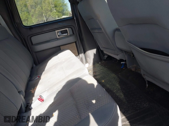 2011 Ford F-150 XL with VIN 1FTFW1CF4BKE02092, listed as a IAAI auction lot 41838966 with 176,685 mi miles and . Bid and sale history available at DreamBid. Image 8.