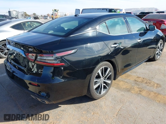 2022 Nissan Maxima SV with VIN 1N4AA6CV8NC502553, listed as a IAAI auction lot 41354940 with 57,786 mi miles and . Bid and sale history available at DreamBid. Image 4.