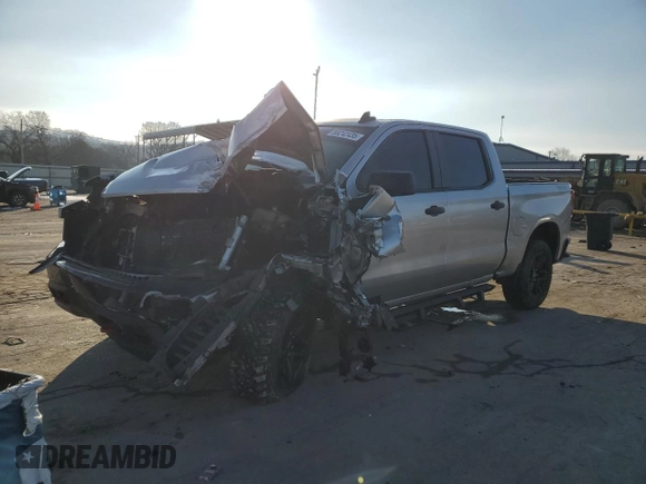 2019 Chevrolet Silverado 1500 Custom Trail Boss with VIN 3GCPYCEH8KG117346, listed as a Copart auction lot 88242435 with 110,025 mi miles and Salvage Title. Bid and sale history available at carsss.com. Image 1.
