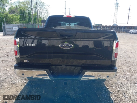 2015 Ford F-150 XLT с VIN 1FTEX1EP9FFB28000, выставлен на аукционе IAAI как лот 42174069 с пробегом 157 592 миль миль и . История ставок и продаж доступна на DreamBid. Изображение 17.