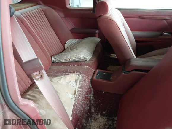 1984 Ford Thunderbird with VIN 1FABP4630EA111572, listed as a IAAI auction lot 41569309 with 7,919 mi miles and . Bid and sale history available at DreamBid. Image 8.
