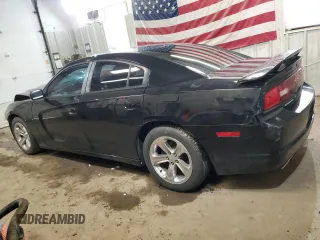 2013 Dodge Charger SE with VIN 2C3CDXBG1DH725486, listed as a Copart auction lot 49420265 with 215,154 mi miles and Salvage Title. Bid and sale history available at DreamBid. Image 2.