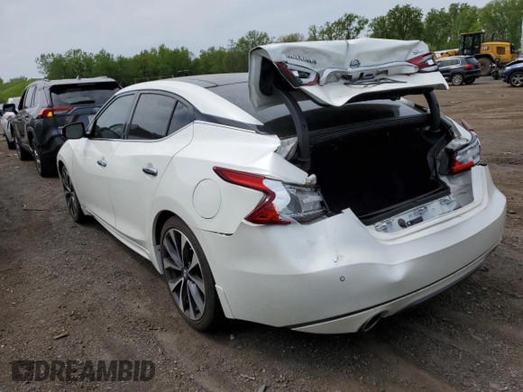 2017 Nissan Maxima SL with VIN 1N4AA6AP6HC403786, listed as a Copart auction lot 56538795 with 100,584 mi miles and Salvage title. Bid and sale history available at DreamBid. Image 2.