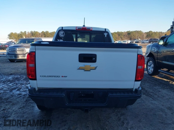 2018 Chevrolet Colorado 4WD ZR2 with VIN 1GCGTEEN2J1134530, listed as a IAAI auction lot 41245135 with 46,713 mi miles. Bid and sale history available at carsss.com. Image 16.